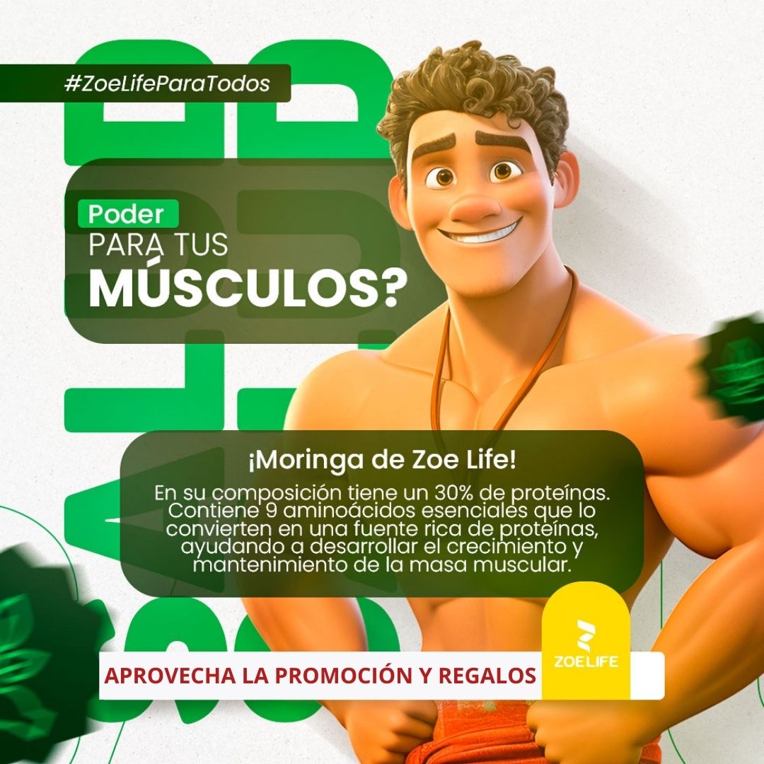 HARINA MORINGA
