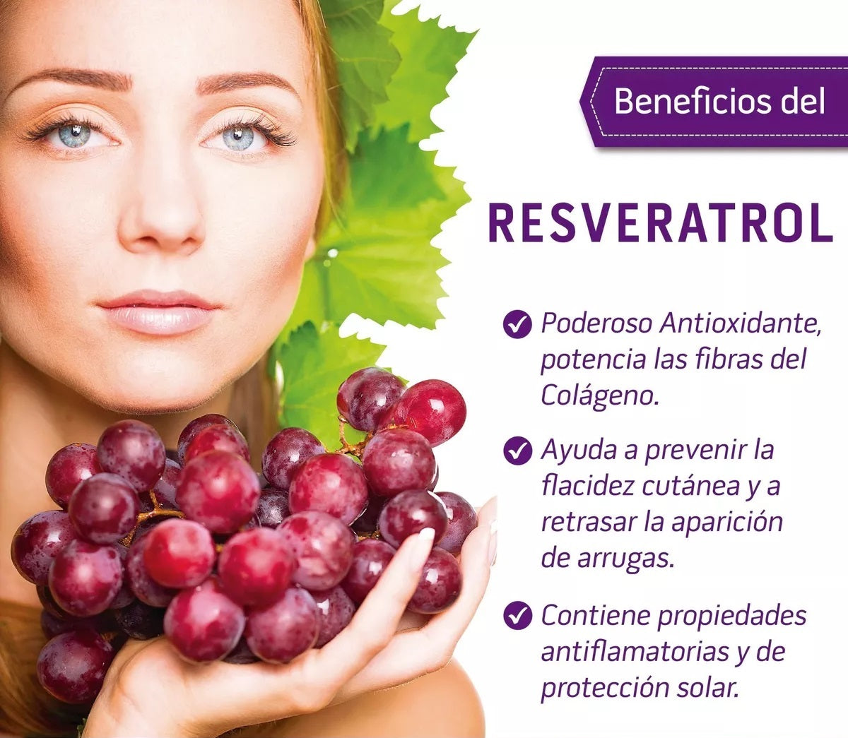 RENOVA ( Colágeno, RESVERATROL, Q10)